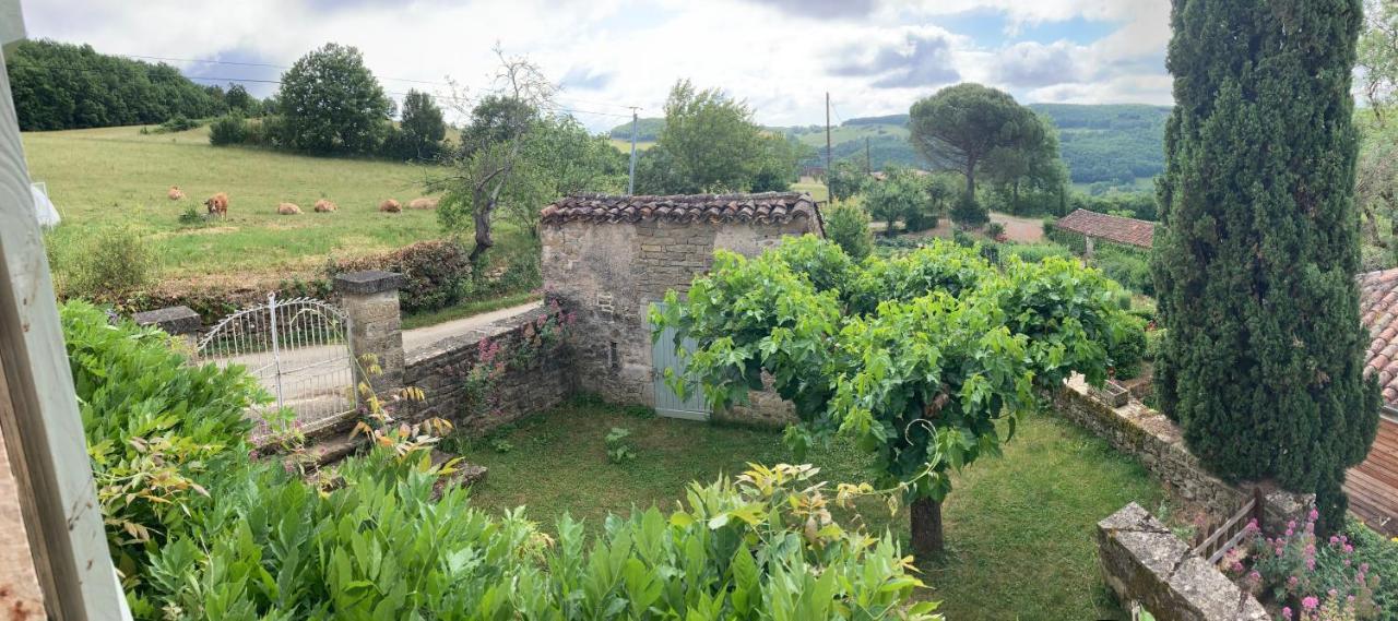 La Ferme Du Paradis Verfeil-sur-Seye Luaran gambar
