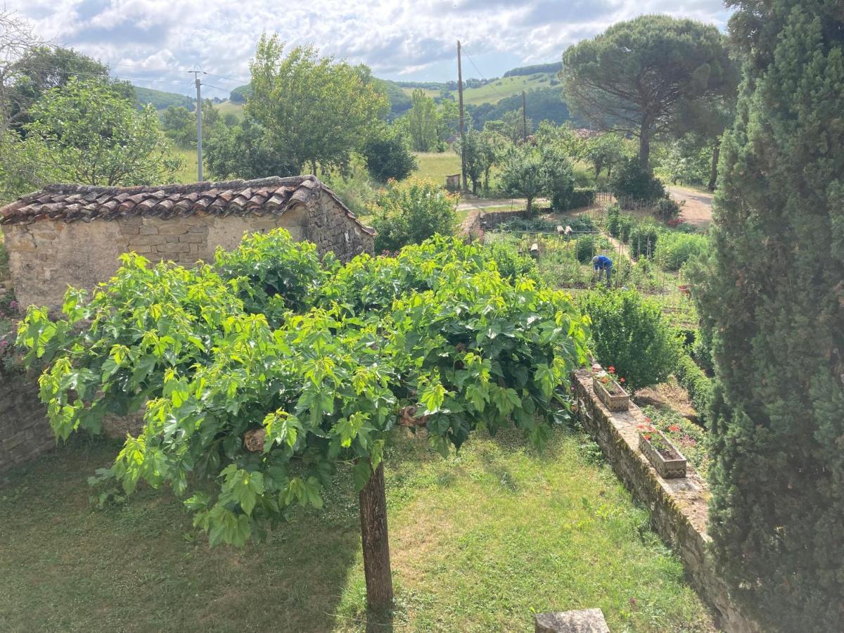 La Ferme Du Paradis Verfeil-sur-Seye Luaran gambar