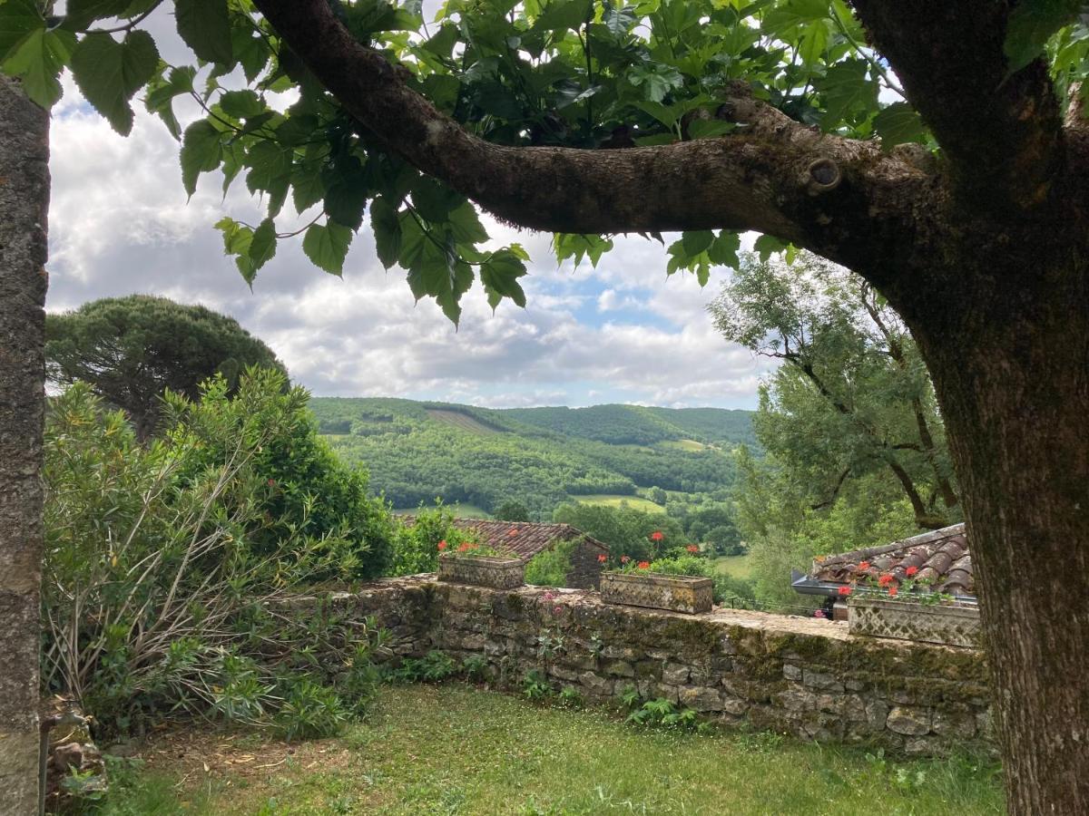 La Ferme Du Paradis Verfeil-sur-Seye Luaran gambar